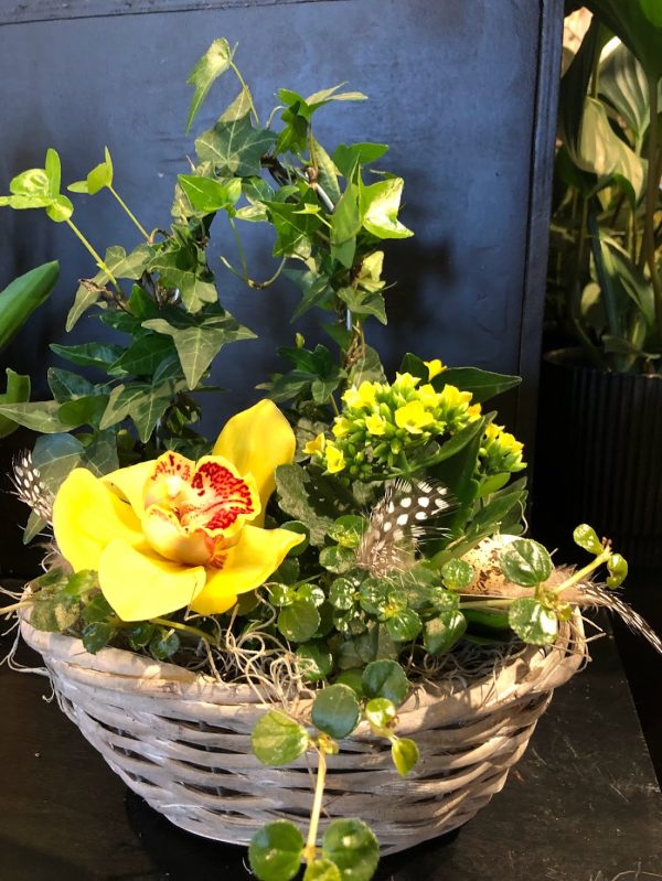 Sammenplanting, påske